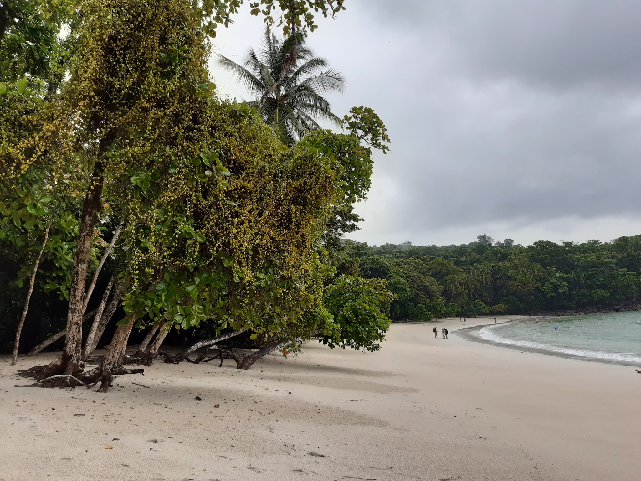Manuel Antonio
