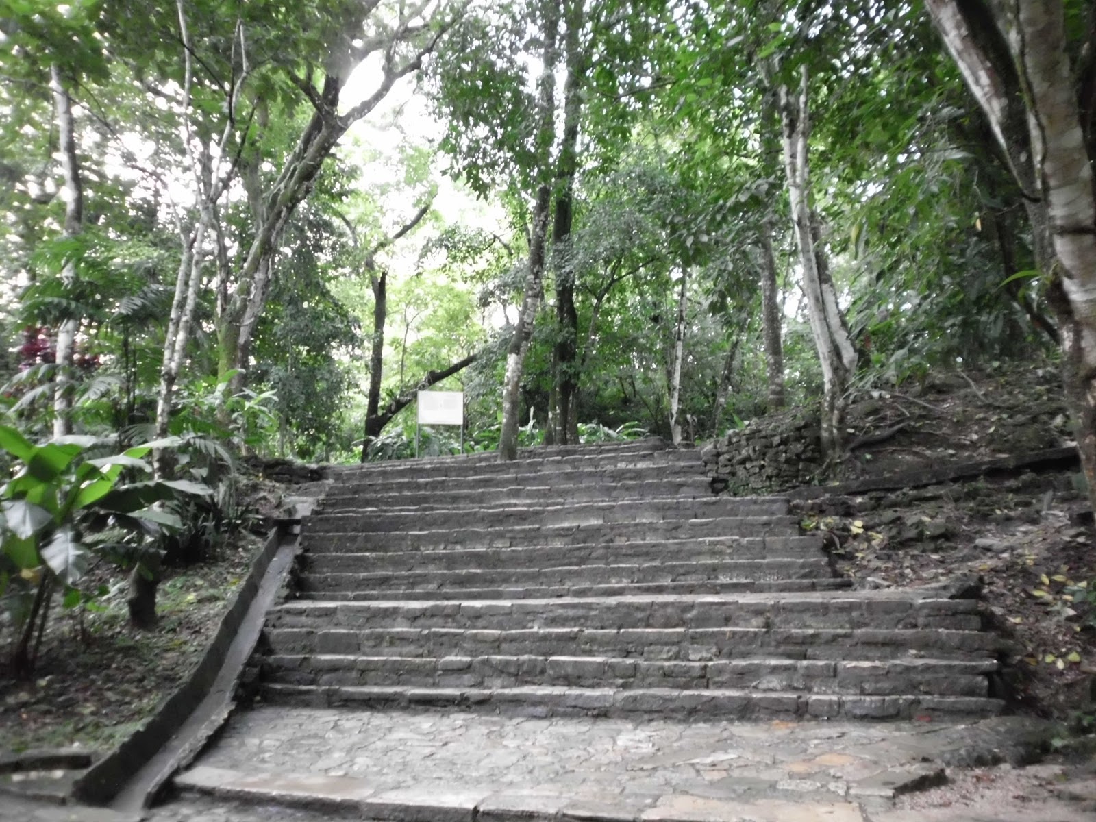 Villahermosa, Palenque