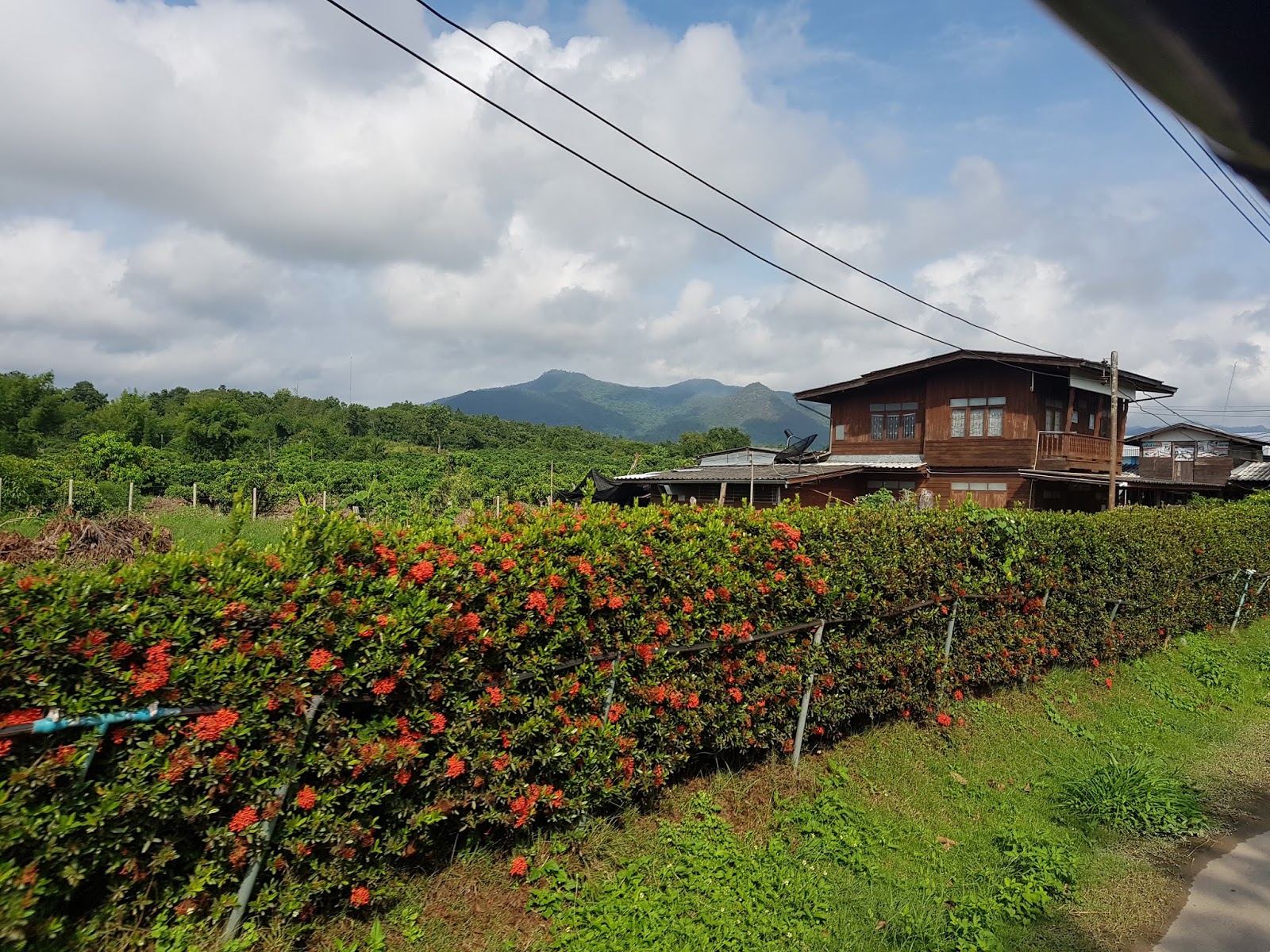 Chiang mai, Chiang rai