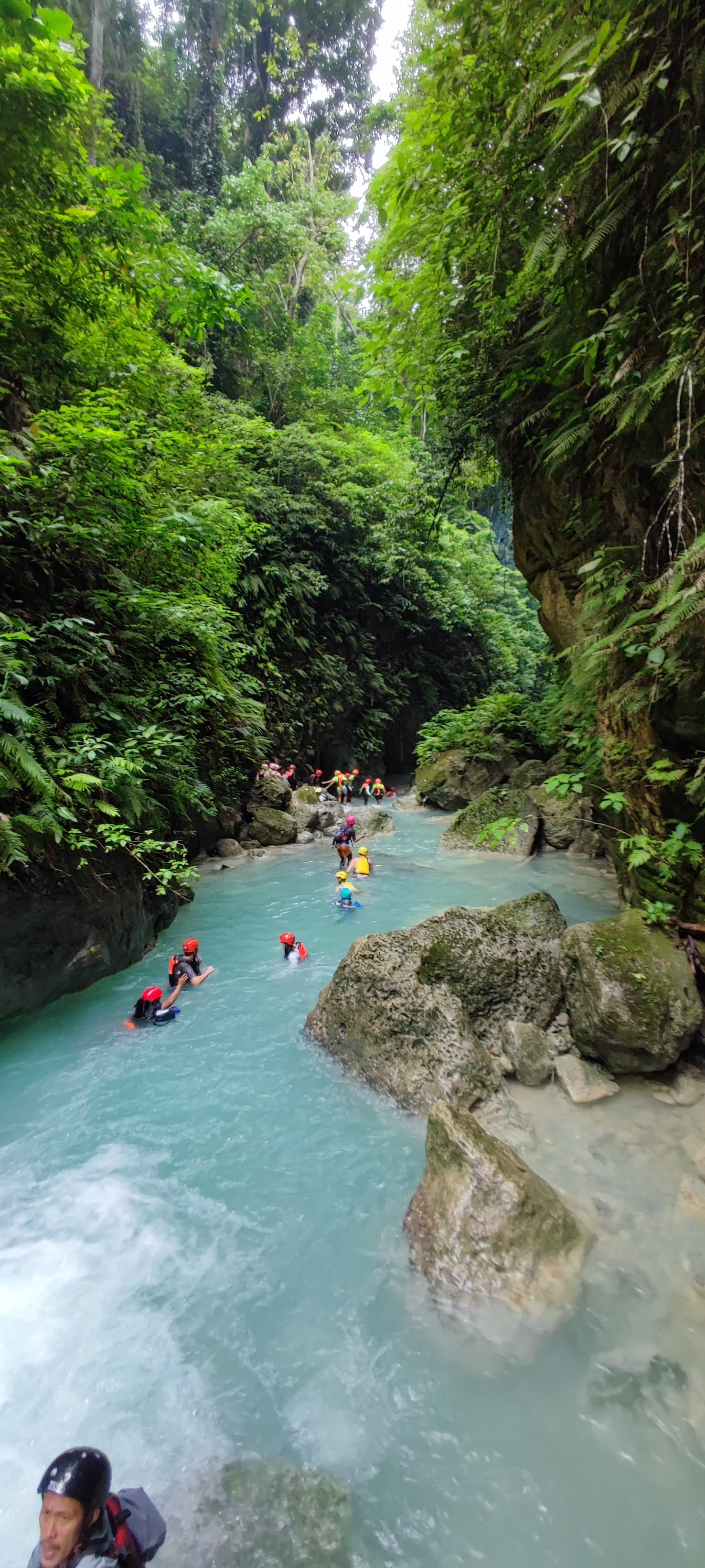 Cebu: Moalboal, Oslob